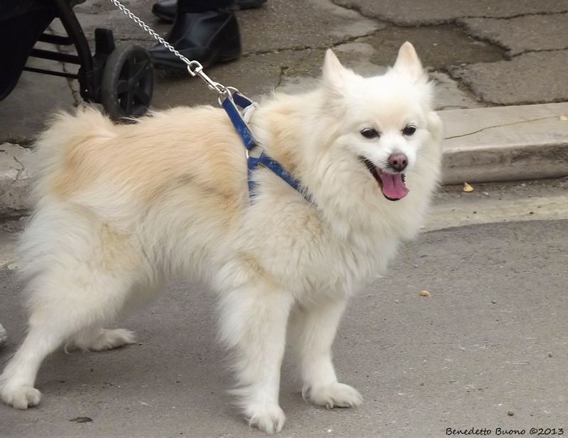 DSCF7904.jpg