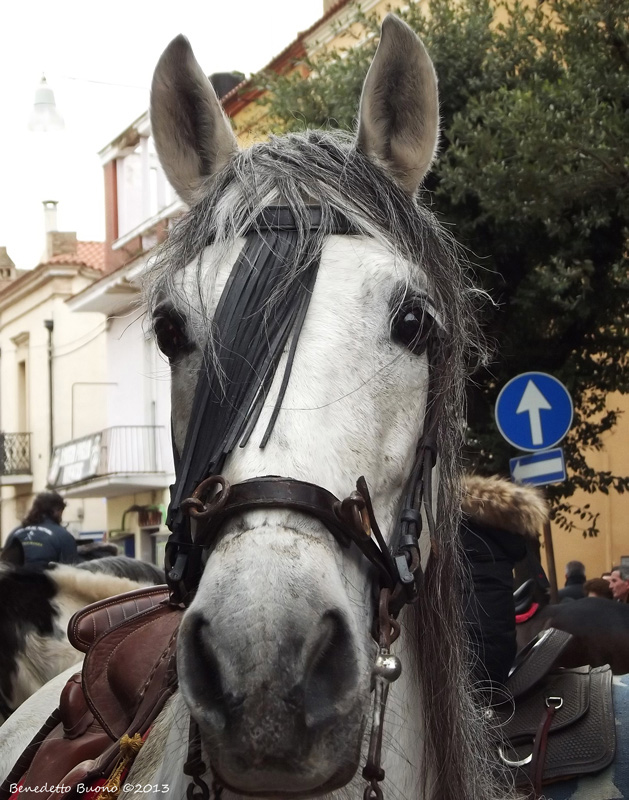 DSCF7926.jpg