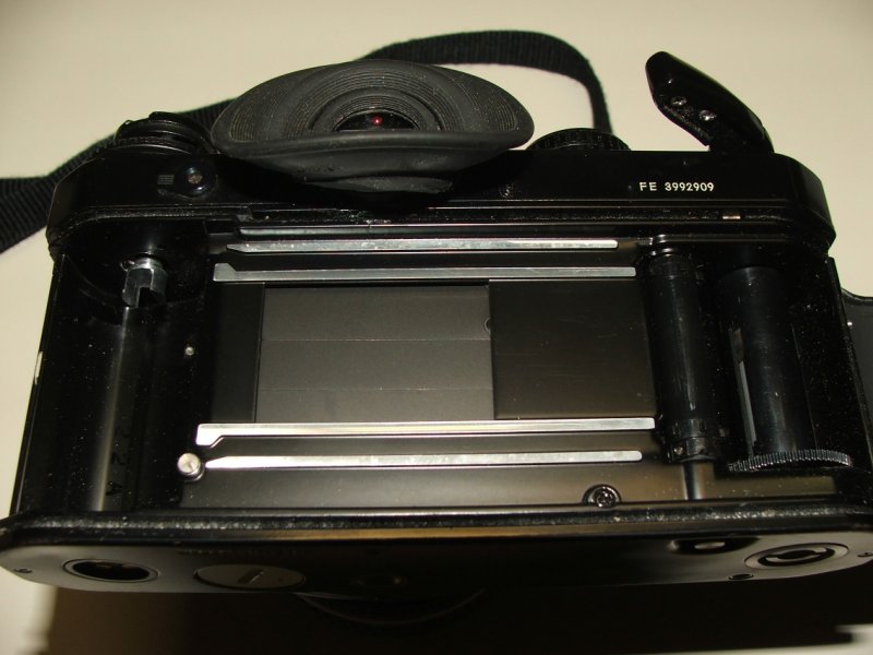 DSCF7957.jpg