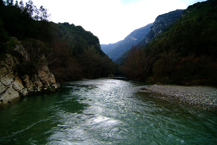 DSCF8180-jpg.jpg