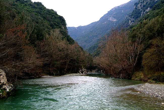 DSCF8187.jpg