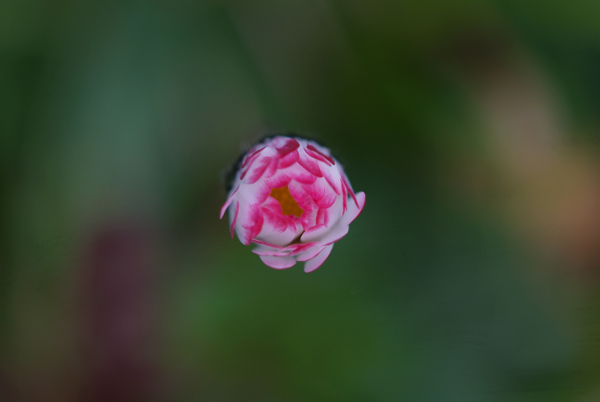 DSCF8235.jpg