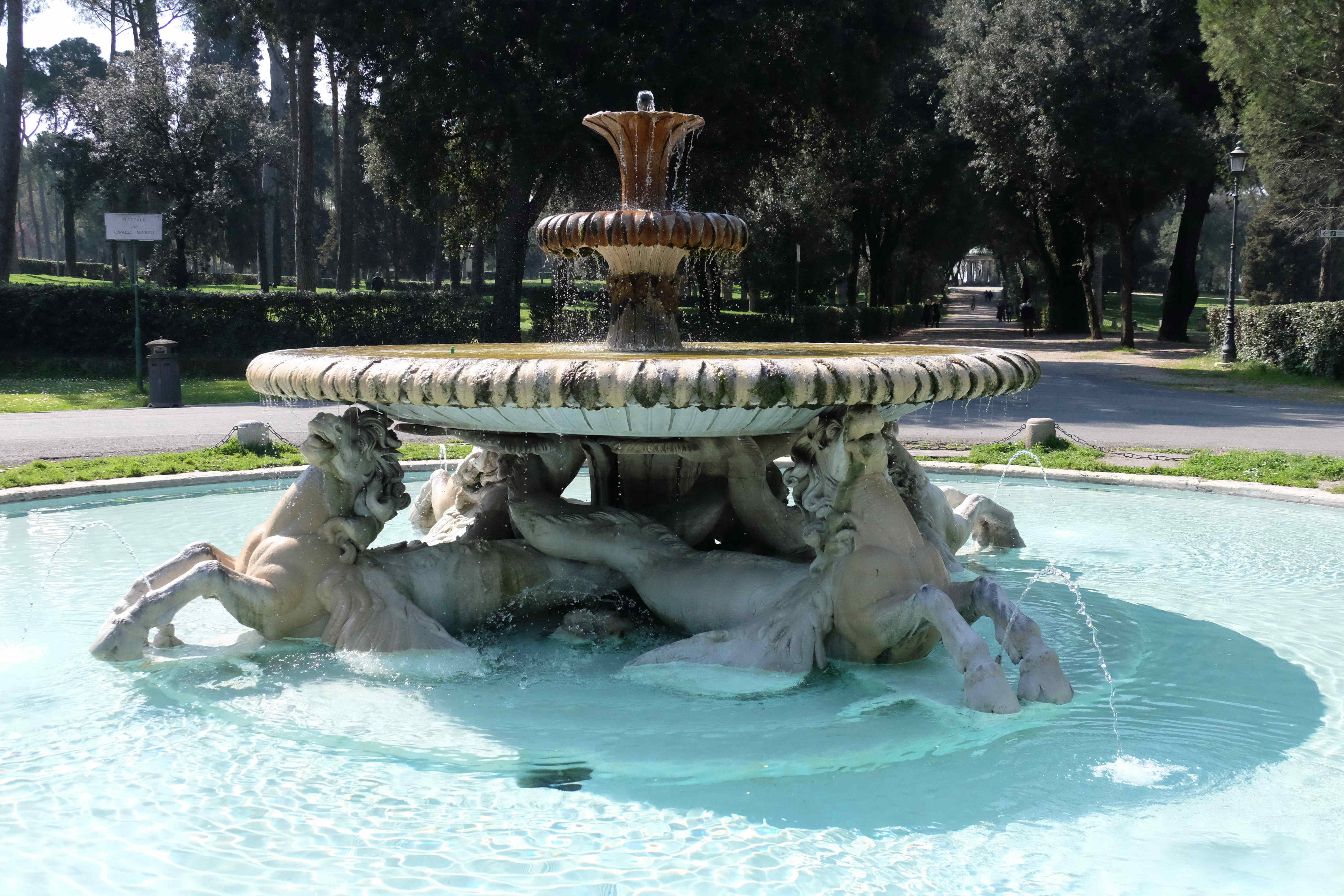 DSCF8241.JPG