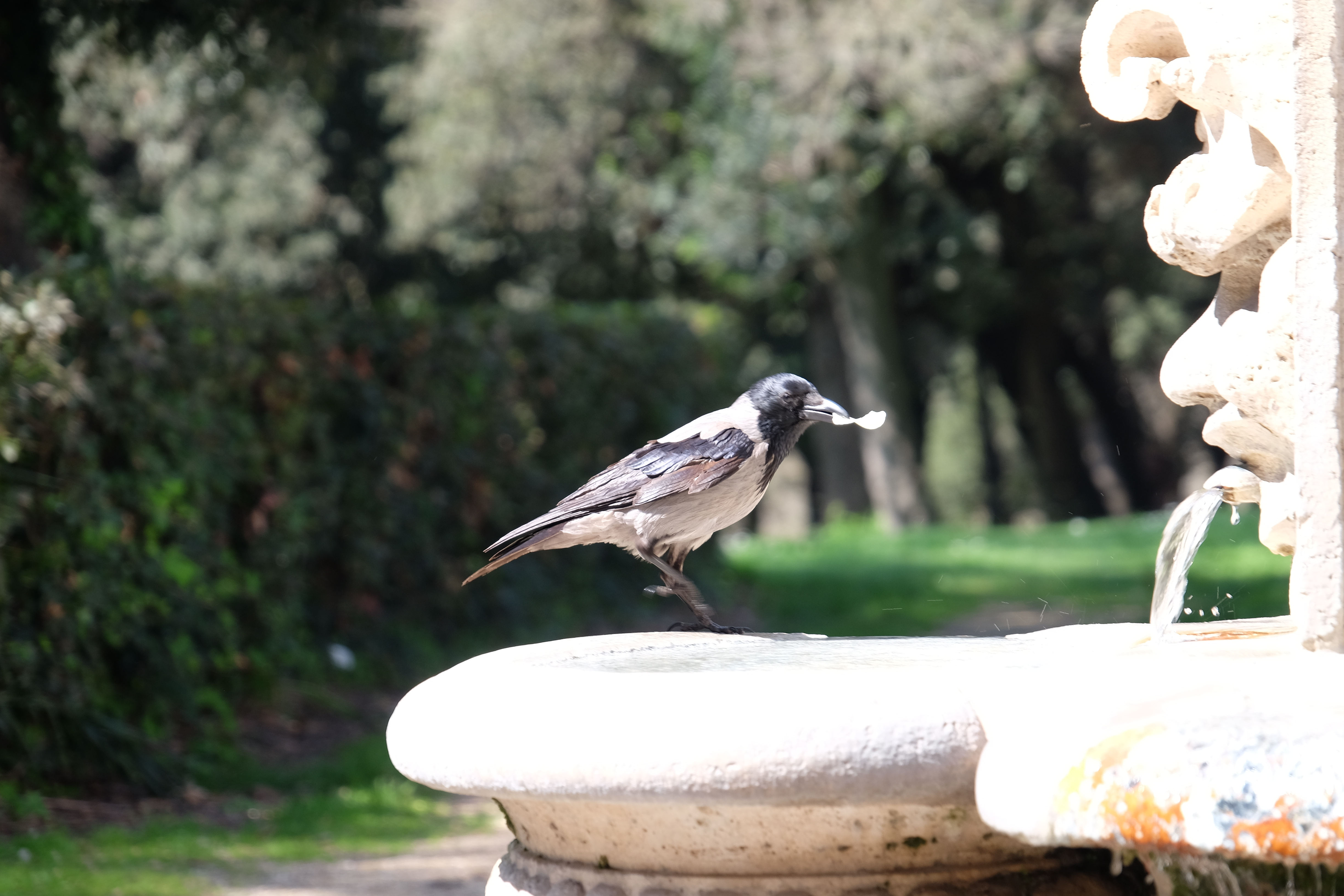DSCF8261.JPG