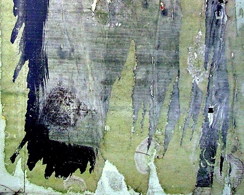 DSCF8263.JPG
