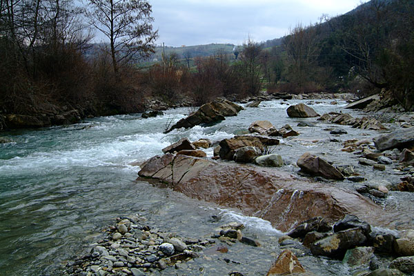 DSCF8274.jpg
