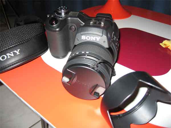 dscf828-001.jpg