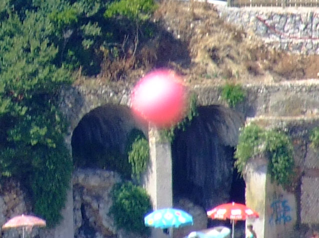 DSCF8331crop100%.jpg