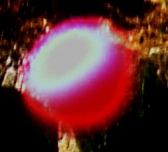 dscf8331crop100__930 x.jpg