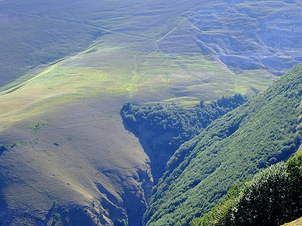 DSCF8353.JPG