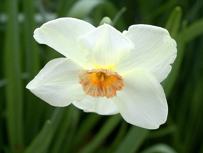 DSCF8379_1_200k.jpg