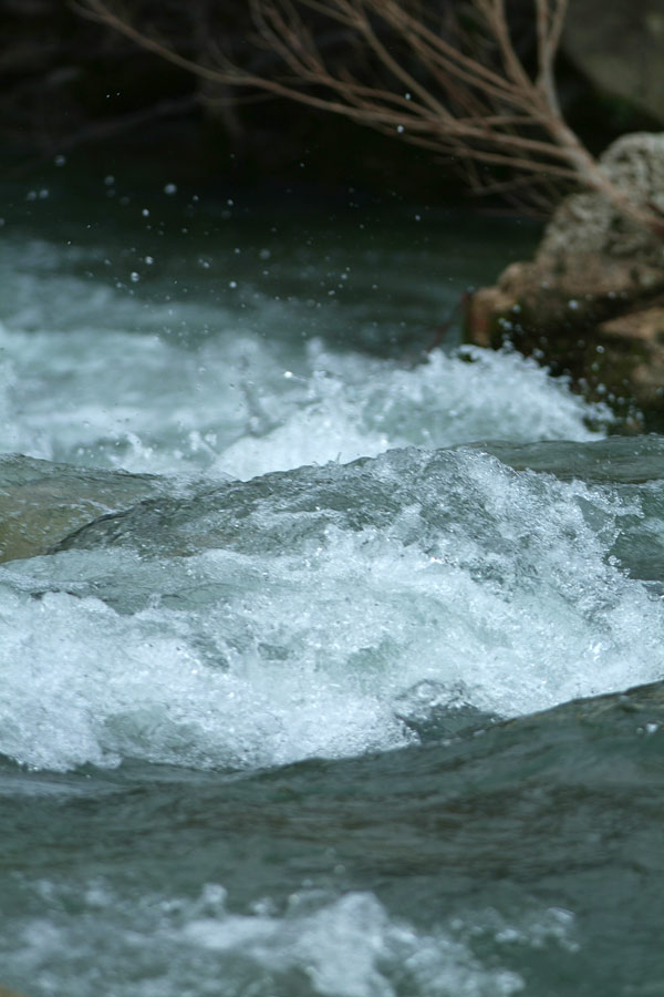 DSCF8385.jpg
