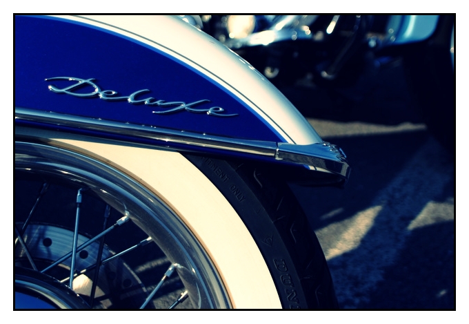 DSCF8428-1.JPG