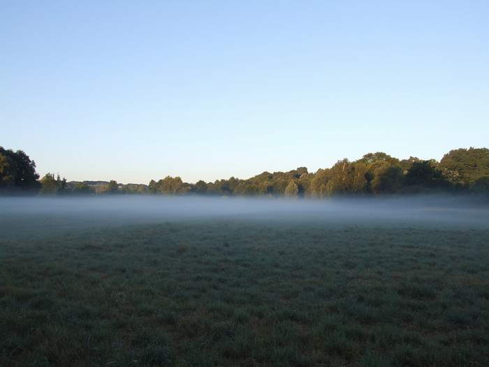 DSCF8686.jpg