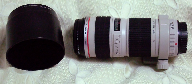 DSCF8871.JPG