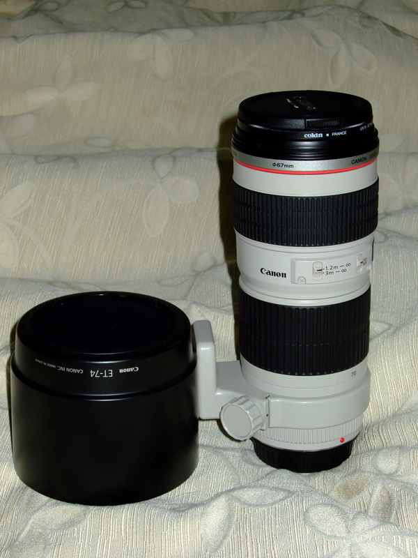 DSCF8874.JPG