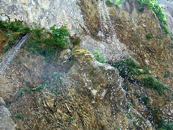 DSCF8874.JPG