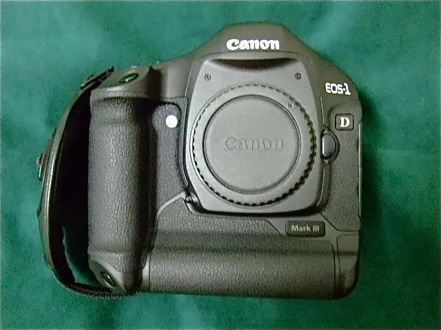 DSCF8884.JPG