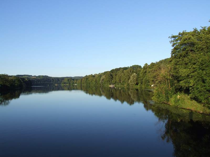 DSCF8911.jpg