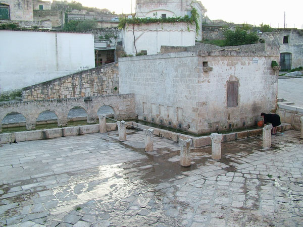 DSCF8980.jpg