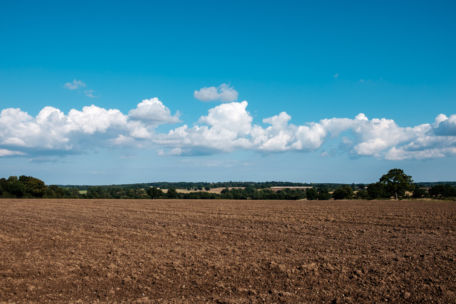 DSCF9133-2.jpg