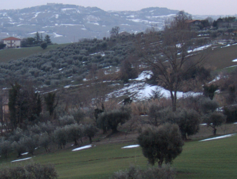 DSCF9365_senza_CPL_crop1_4.jpg