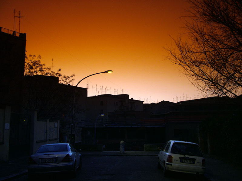 DSCF9503.jpg
