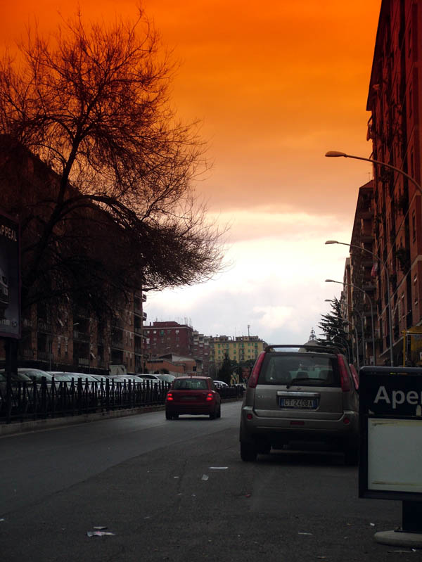 DSCF9510_1.jpg
