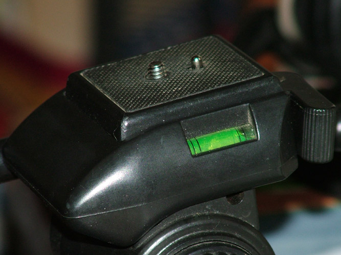 DSCF9519.jpg