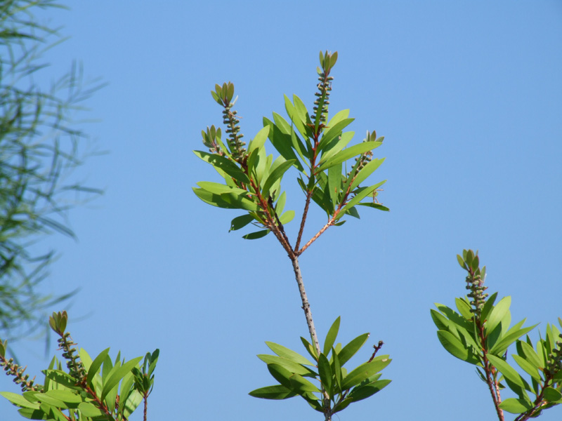 DSCF9647.jpg