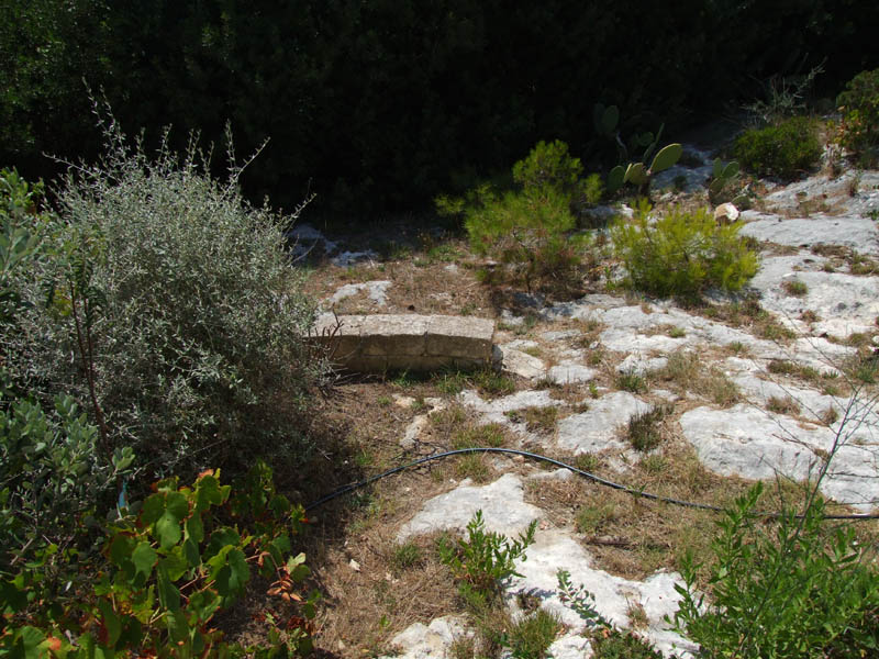 DSCF9654.jpg