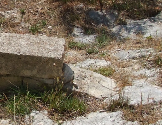 DSCF9654crop.jpg