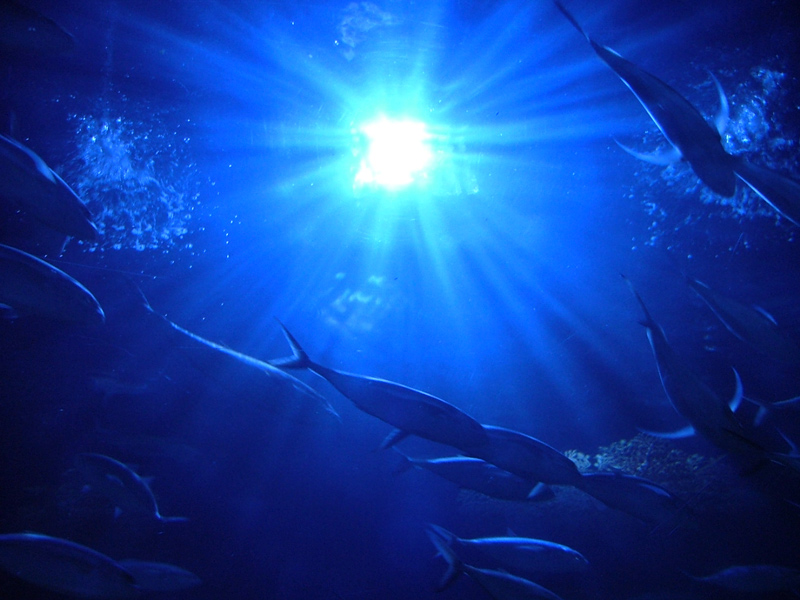 DSCF9748.jpg