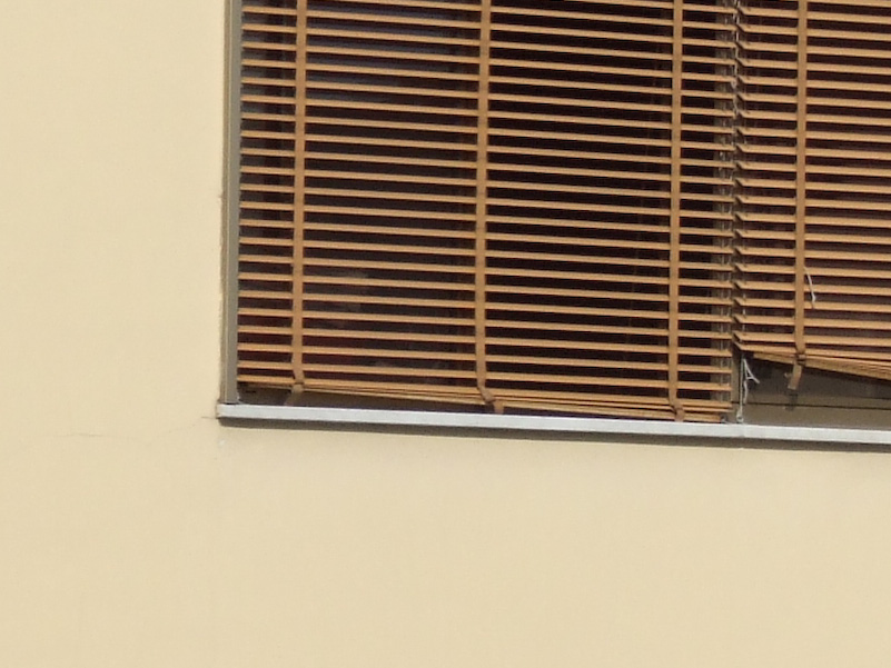 DSCF9782crop.jpg