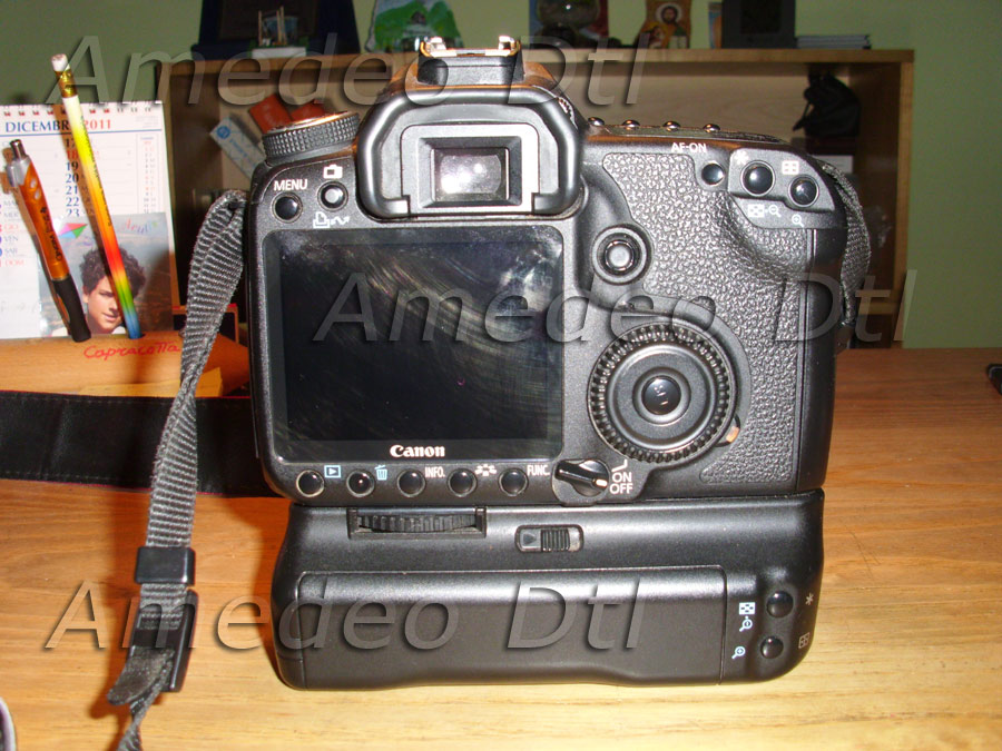 DSCI0144.jpg