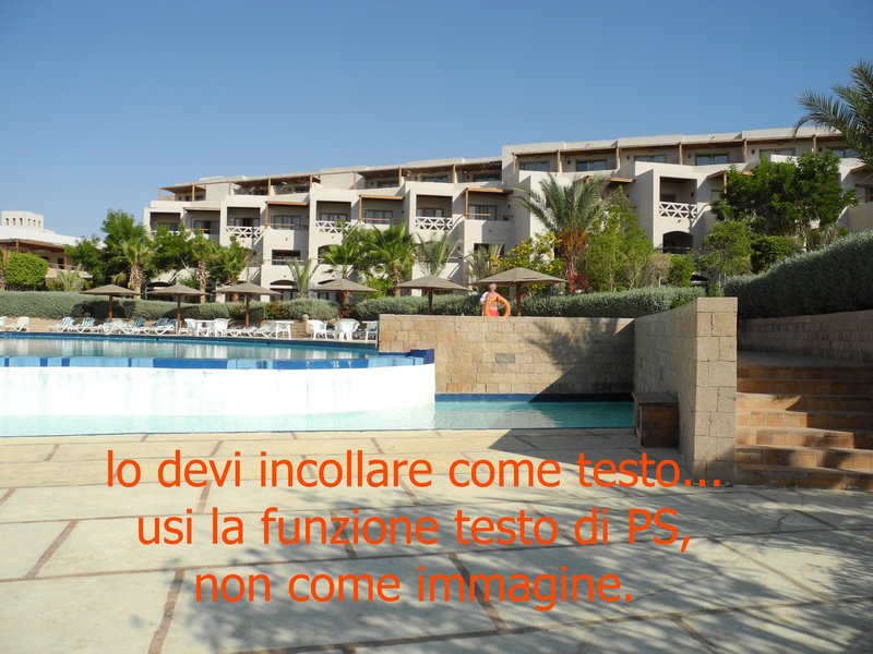 DSCN0003.jpg
