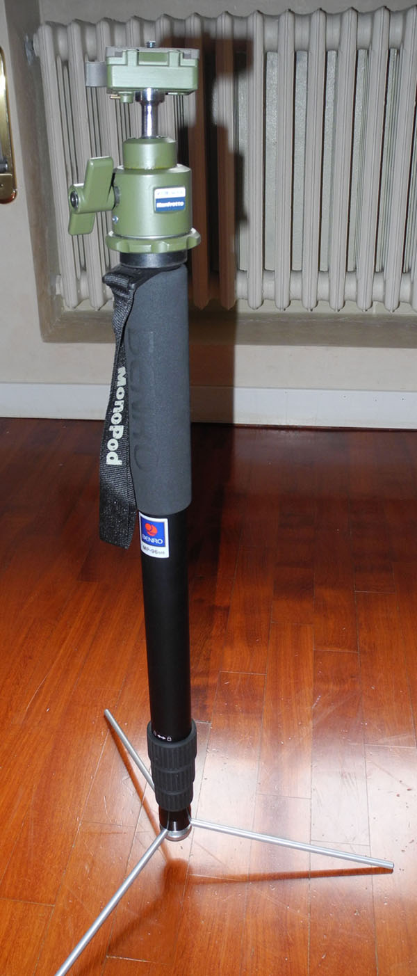 DSCN0136.jpg
