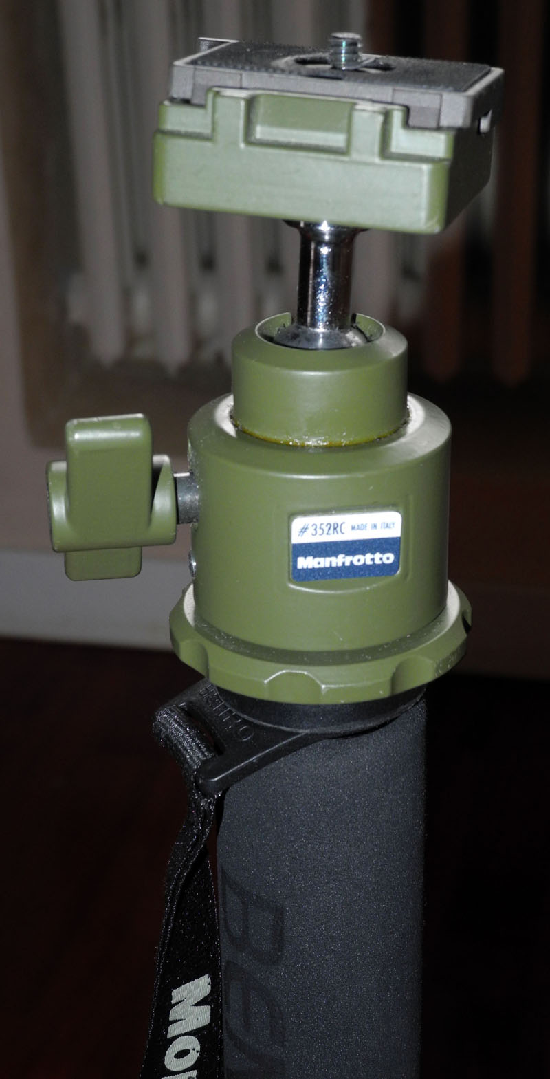 DSCN0137.jpg