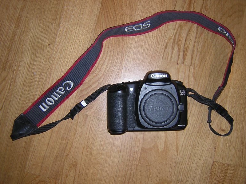 DSCN0153.JPG