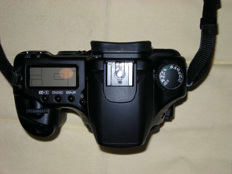 DSCN0207.JPG