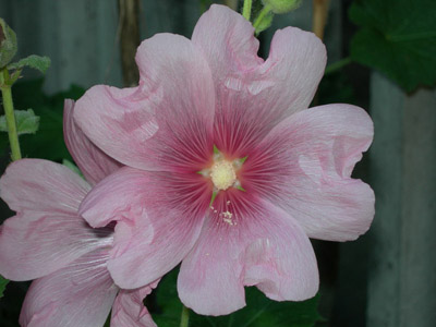 DSCN0219.JPG