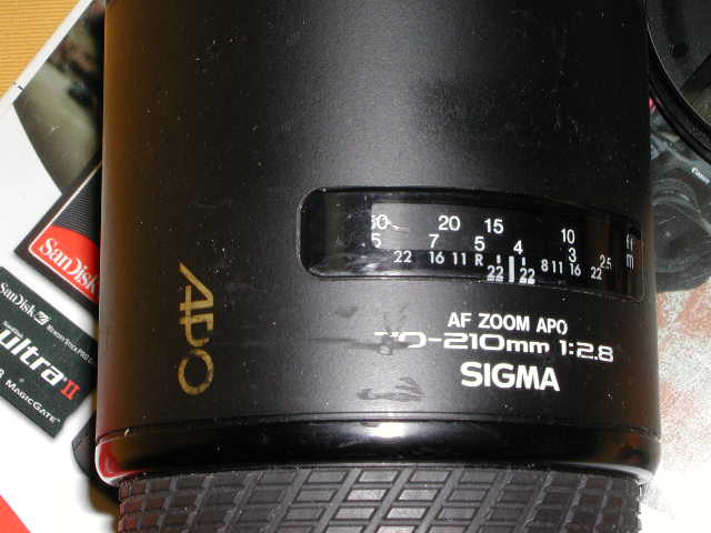 DSCN0380.JPG