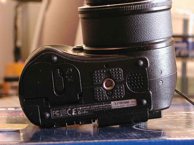 DSCN0393.JPG