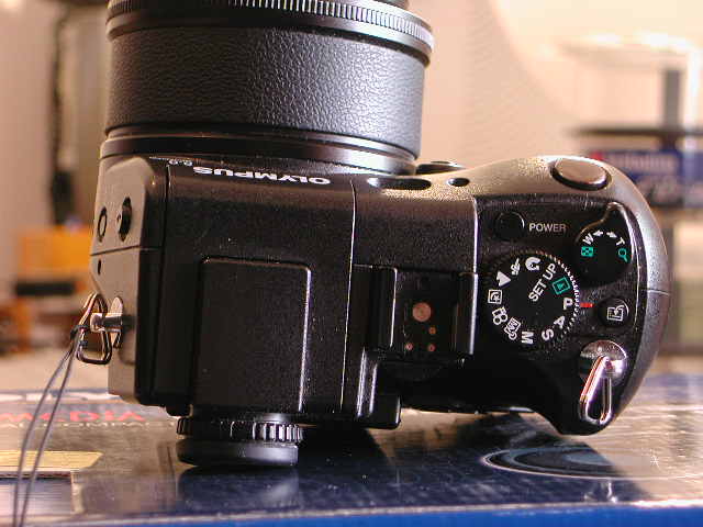 DSCN0394.JPG