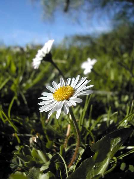 DSCN0427_denoise#.jpg