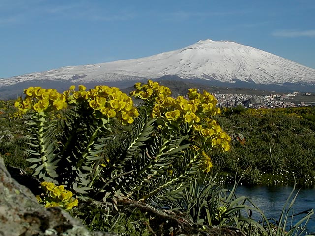 DSCN0476_denoise.jpg