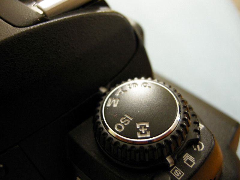 DSCN0493.JPG