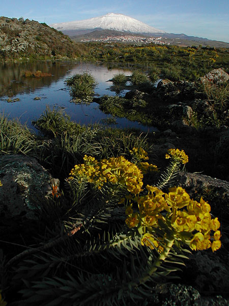 DSCN0514.jpg