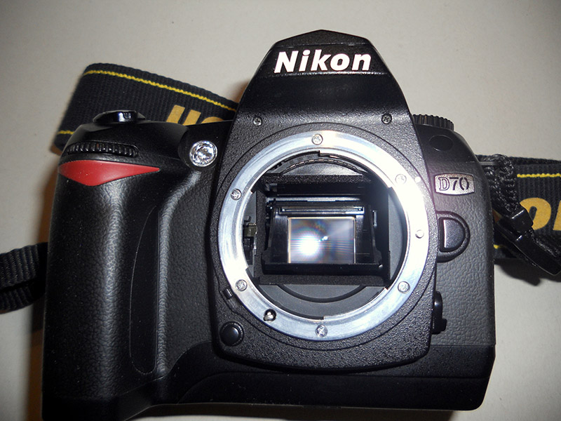 DSCN1010.jpg