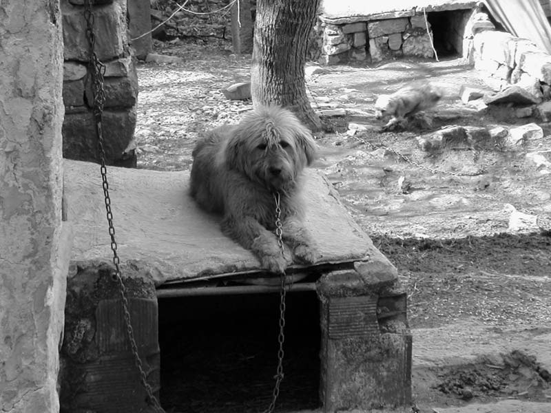 DSCN1438.jpg